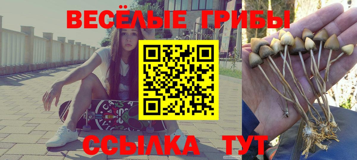 Дербент  Галлюциногенные грибы Magic Shrooms  Вход с VPN 